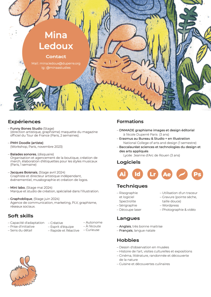 Cv, compétences, langues, logiciels