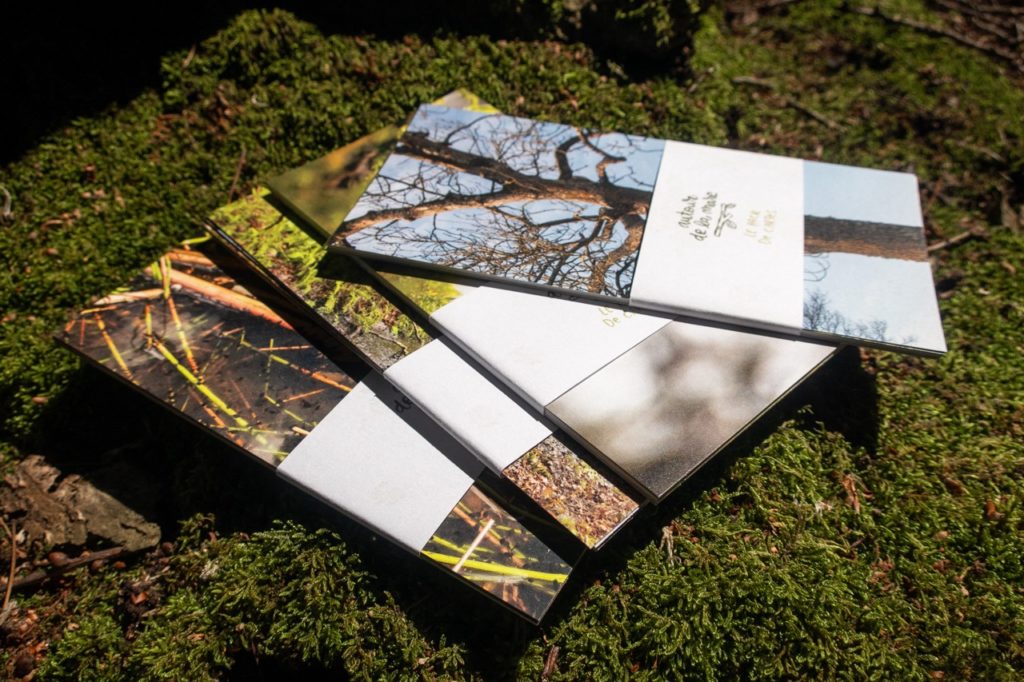 PDD Cartes Illustration, projet de diplôme