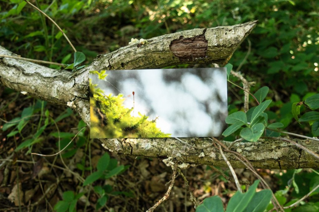 PDD Cartes Illustration, projet de diplôme