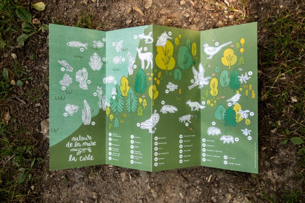 PDD Cartes Illustration, projet de diplôme, dépliant