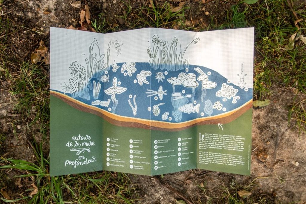 PDD Cartes Illustration, projet de diplôme, dépliant