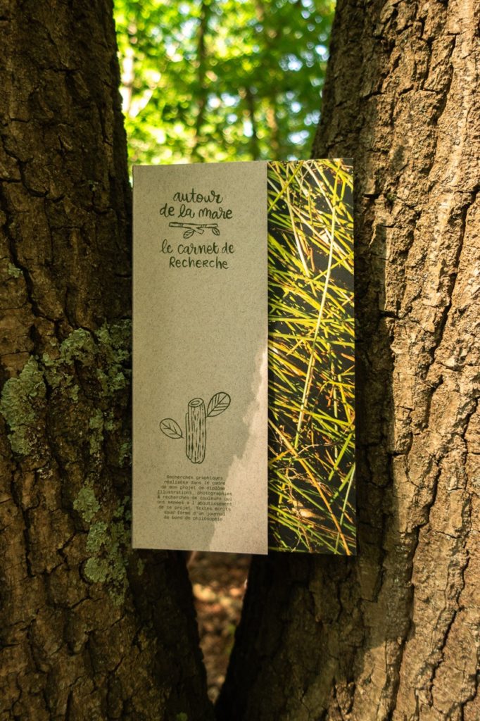 Illustration, édition, photographie, projet de diplôme