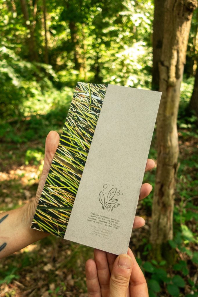 Illustration, édition, photographie, projet de diplôme