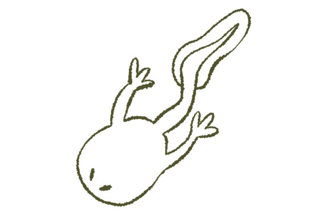 Symboles_Cartes_-1 2