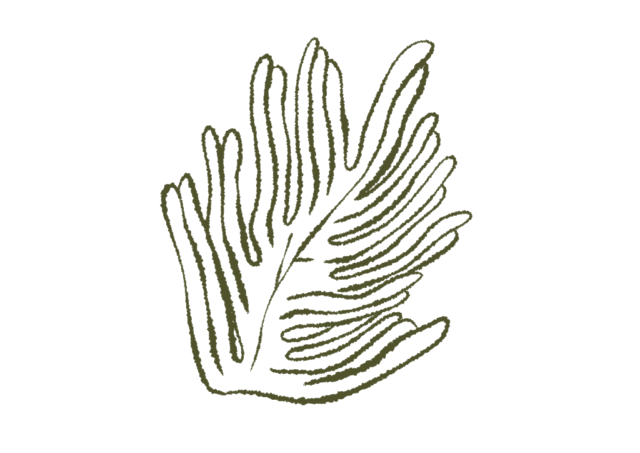 Symboles_Cartes_-10 2