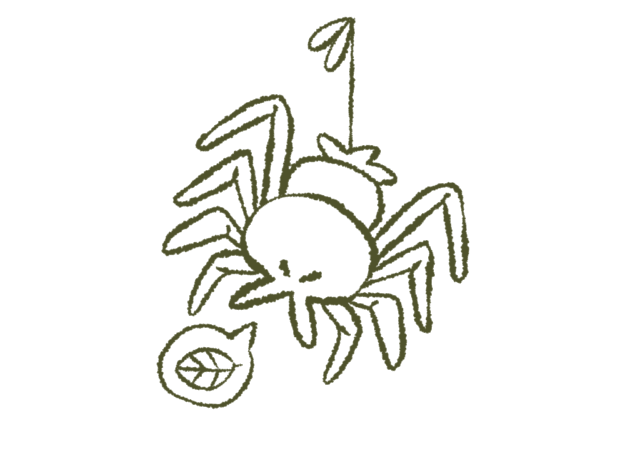 Symboles_Cartes_-3 2