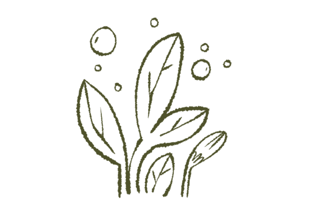 Symboles_Cartes_-4 2