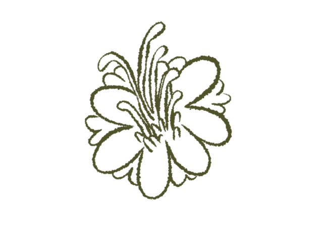 Symboles_Cartes_-9 2