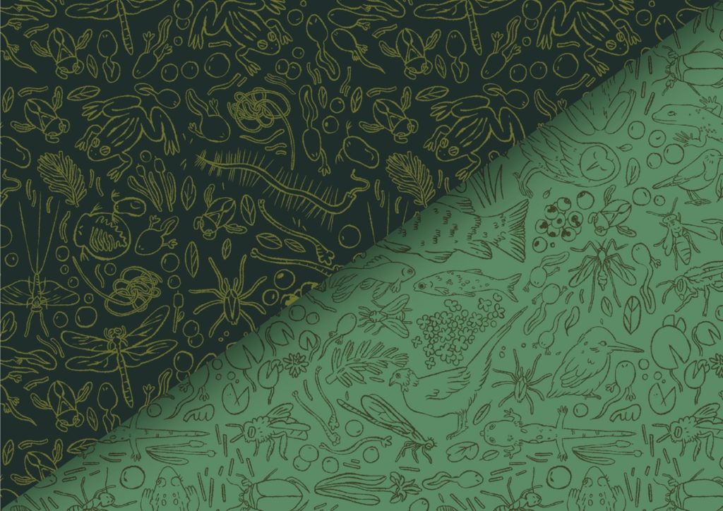 PDD Cartes Illustration, graphisme, all over